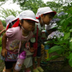 DSCF2586