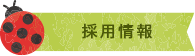 採用情報